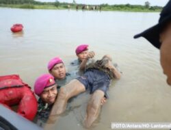 Korban banjir di Maros ditemukan tewas