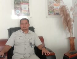 Beras SPHP Langka, Bulog Wajo Tunggu Instruksi Pusat