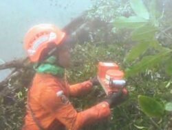 Black Box Pesawat Ditemukan, Data Penting Terselamatkan