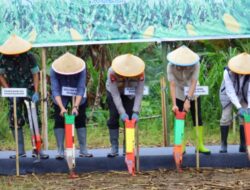 Kapolda Sulsel Tanam Jagung, Dukung Swasembada Pangan Nasional